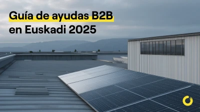 Programa de ayuda eve para empresas vascas