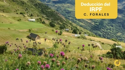 Deducciones en el IRPF en haciendas forales: Navarra y País Vasco